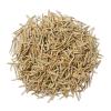 Rosemary