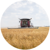 Reduced Tillage