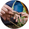 Soil Health