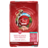 Purinaᴹᴰ ONEᴹᴰ + Plus Formule pour la Santé Digestive Nourriture Sèche pour Chiens