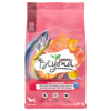 Beyond® Superfood Blend Salmon, Egg & Pumpkin Recipe Dry Dog Food