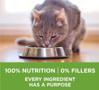 100% nutritive