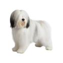 Polish Lowland Sheepdog
