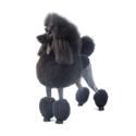 Poodle dog