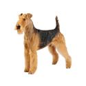 Airedale Terrier dog