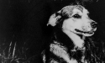Little Monster - 1975 Inductee
