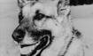 Nellie - 1994 Inductee