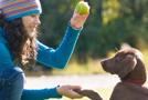 puppy being trained outside ck22 unld