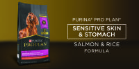 Purina Pro Plan Sensitive Skin & Stomach Salmon & Rice Formula