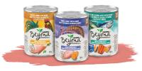 Beyond Grain Free Wet Dog Food Ground