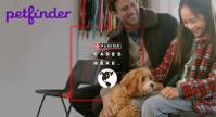 Purina. S’engage. Petfinder