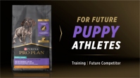 Purina Pro Plan For Future Puppy Athletes