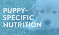 puppy specific nutrition