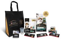 proclub kitten kit