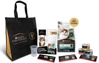 proclub kitten kit lineup