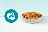 dry cat food kibble