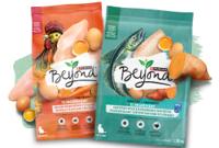 Beyond Grain Free Recipes