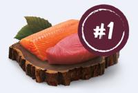 salmon and tuna #1