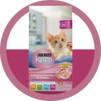 Kitten Chow Strong Start