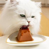 cat nibbling on fancy feast gems
