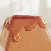 fancy feast gem product with the gravy on top