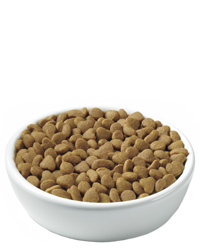 pro-plan-focus-urinary-tract-health-kibble
