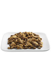 pro-plan-savor-adult-shredded-blend-salmon-rice-kibble