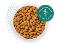 dry kibble