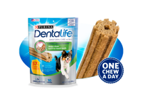 Gâteries Pour Chiens pour les Soins Buccodentaires Quotidiens DentaLife