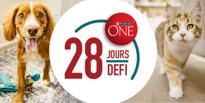 DÉFI DE 28 JOURS