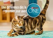 Une différence dès le jour 1