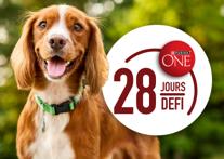 DÉFI DE 28 JOURS