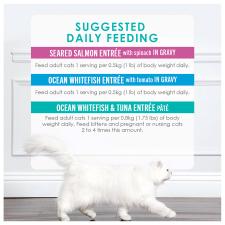 Suggested daily feeding