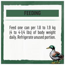 Feeding