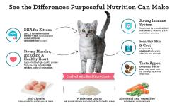 See the Differences Purposeful Nutrition Can Make