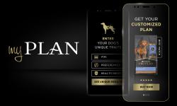 My plan