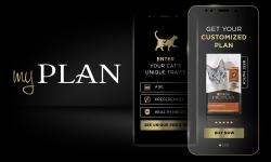 My Plan