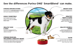 See the differences Purina ONE SmartBlend can make