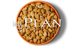 My Plan Dog Bowl
