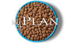 My Plan Dog Bowl