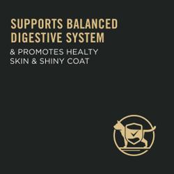 Supports balanced digestive system