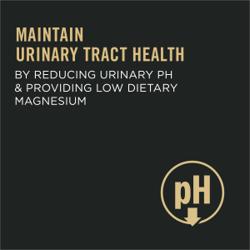 Maintain Urinary Health