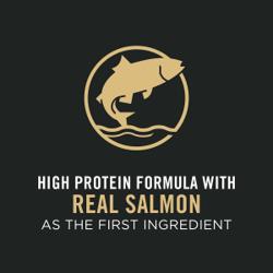 Real salmon as the first ingredient