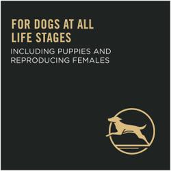 For dogs at all life stages