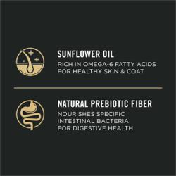 Sunflower Oil