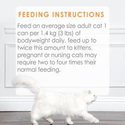 Feeding Recommendations
