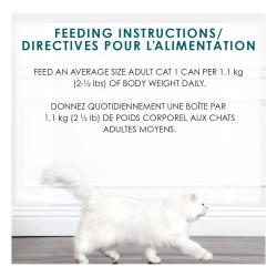 Feeding Recommendations