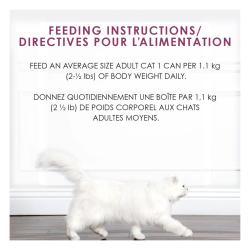 Feeding Amounts