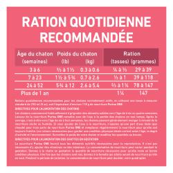 Directives Pour L'alimentation des Chats Adultes
