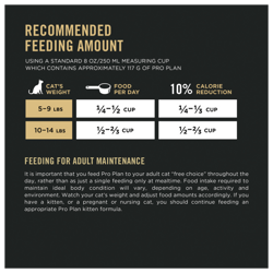 Feeding Amounts